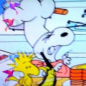 Meet your Posher, Karin